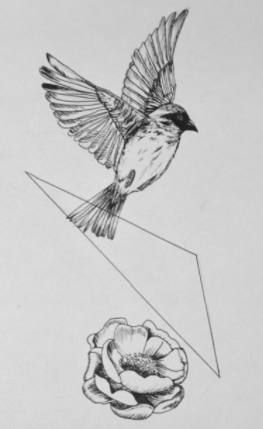 Screen Shot 2017-08-26 at 11.49.38 AM