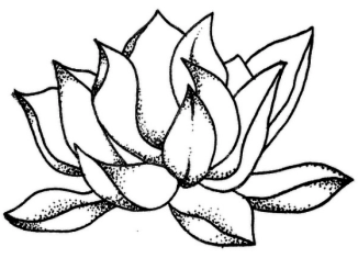 Screen Shot 2018-02-26 at 11.04.09 AM